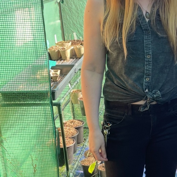 Meet your Posher, Many Minis - Picture 5 of 5